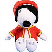 peanuts fierce pirate snoopy