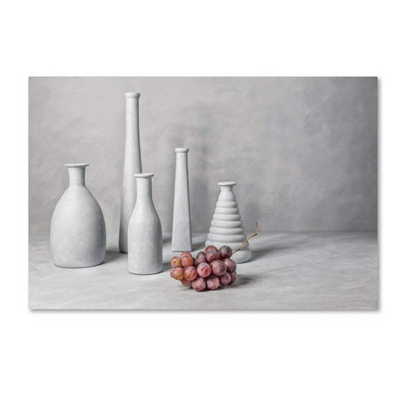 Trademark Fine Art 'Grapes' Canvas Art by Christophe Verot