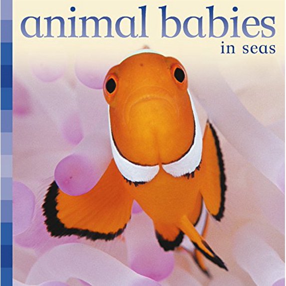 Pre-Owned Animal Babies in Seas, 9780753459454, 0753459450, Paperback, BRDBK edition