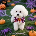 thumbnail image 4 of (2 Pack) Durable Halloween Pet Collar for Dogs and Cats - Chew- Polyester Accessory for Festive Indoor Outdoor Use, 4 of 5