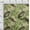 Light Green, variant on oneOone Cotton Jersey Black Fabric Floral & Leaves Tropical Fabric For Sewing Printed Craft Fabric By The Yard 58 Inch Wide