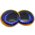 thumbnail image 5 of Blue Toucan Bird Glass Eyes, 5 of 9
