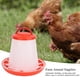 thumbnail image 4 of 5 UDS 1,5 kg Pollo Pájaro Comida Agua Cubo Para Beber Auticó ABS ROJO 5,9 Pulgadas, 4 of 7