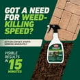 thumbnail image 5 of Ortho GroundClear Weed & Grass Killer Ready-to-Use 24 fl. oz., 5 of 13