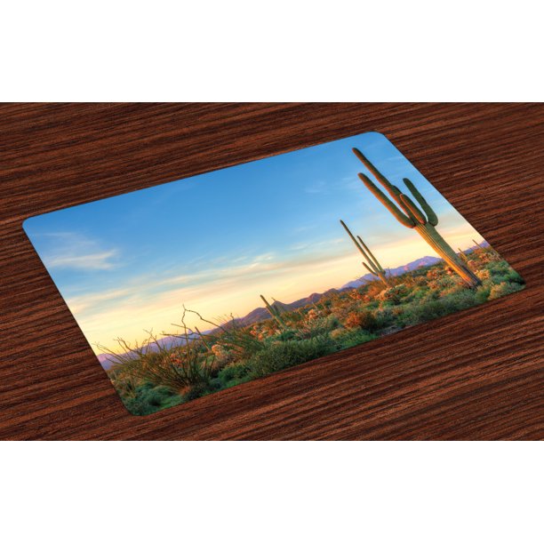 Desert Placemats Set of 4 Sonoran Desert Catching Days Last Rays