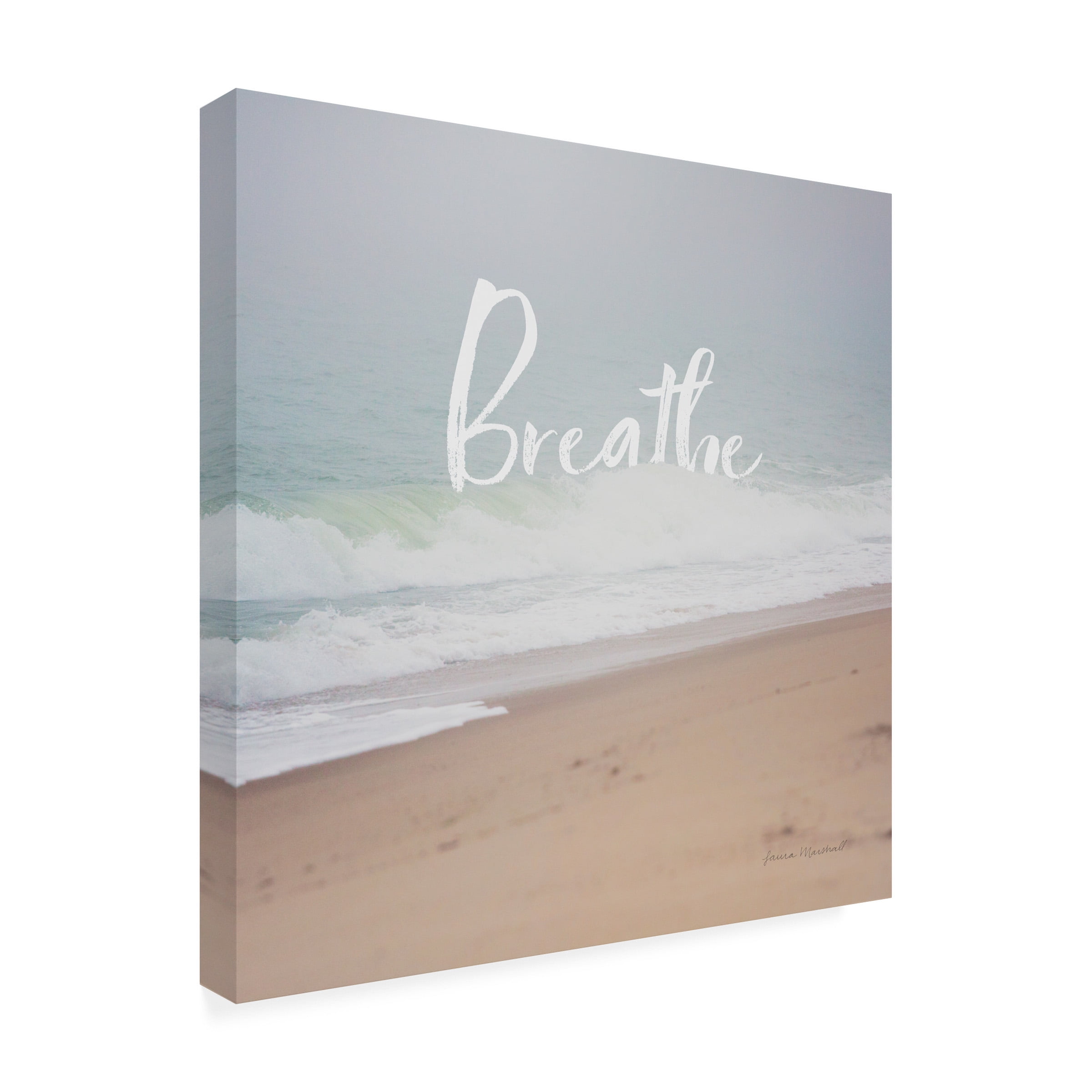 Trademark Fine Art 'Serene Sea I' Canvas Art by Laura Marshall