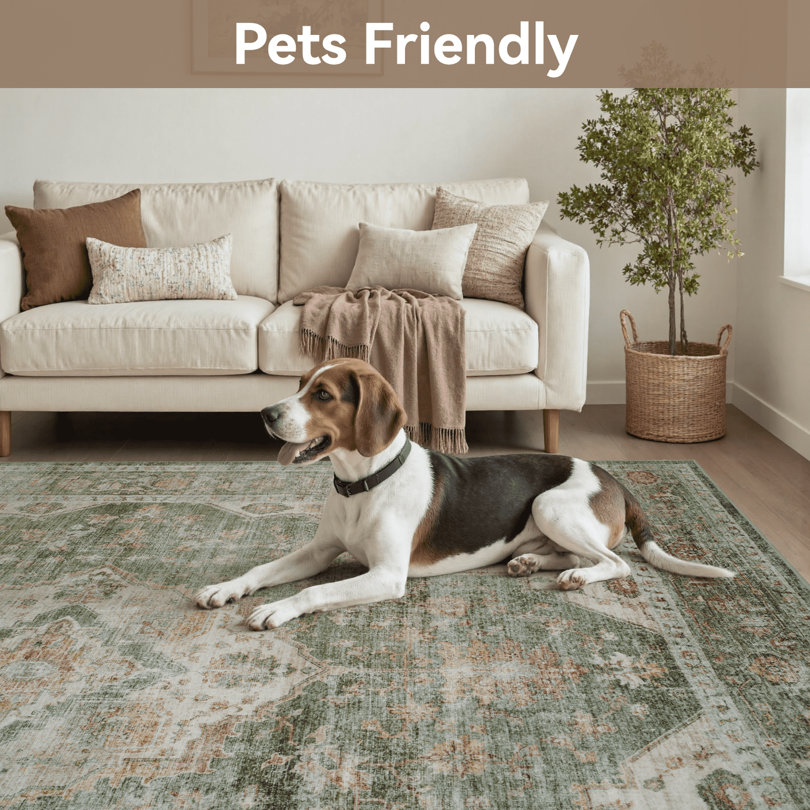 SIXHOME 9'x12' Area Rug Washable Retro Living Room Bedroom Carpet Soft Floral Distressed Indoor Rug Light Green
