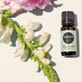thumbnail image 2 of Edens Garden Good Health Essential Oil Blend- 100% Pure Premium Grade, Undiluted, Natural, Therapeutic, Aromatherapy, The Best for Diffusing, Skin, Laundry, Humidifiers 10 ml (.33 fl oz), 2 of 9