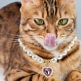 thumbnail image 1 of UPGRATOR Collier Ajustable Bijoux pour Petits Chiens Tenue Quotidienne, 1 of 8