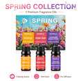 thumbnail image 6 of AMK Spring Home Diffuser Oil Set, 3 Pack Fragrance Scents – Myrtle, Rose Oud, Lavender Eucalyptus, 10ml Bottles, 6 of 6