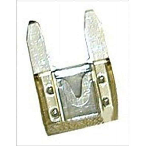 Camco 65151 Mini-Blade Fuse- Clear 25 Amp - Pack Of 5