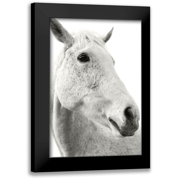 Schlabach, Sue 11x14 Black Modern Framed Museum Art Print Titled - A Horse Named Lady II BW