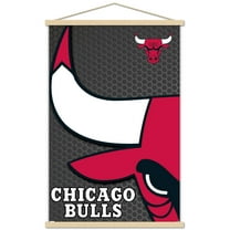 NBA Chicago Bulls - Logo 14 Wall Poster with Wooden Magnetic Frame, 22.375" x 34"