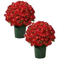 Fake Fall Flowers Verdsylv 10 Bundles of Artificial Chrysanthemum Flowers, Realistic Uv Resistant Faux Outdoor Plants for Garden Patio Porch Landscape Decor, Outdoors Fall Decorations, E