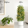 thumbnail image 4 of Clearance! Shishian Plant Trellis Indoor Plant For Climbing Plants Small Metal Wire Stackable Garden Heart Shaped For Vine Plant Support Indoor Decoration Plant Climbing Hold Plant Stakes For Indoor P, 4 of 7