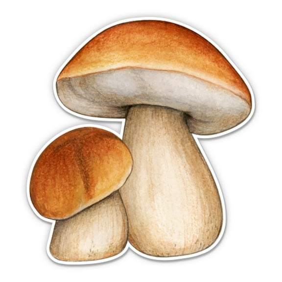 Porcini Mushrooms King Bolete - 3" Vinyl Sticker - For Car Laptop Water Bottle Phone - Waterproof Decal