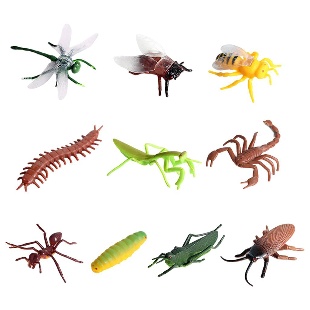 Insects Figure Model Beetle Figurines Toys for Toddlers Educational Resource 