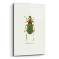 thumbnail image 2 of Epic Art 'Beetle Green' by GraphINC, Acrylic Glass Wall Art, 16"x24", 2 of 8