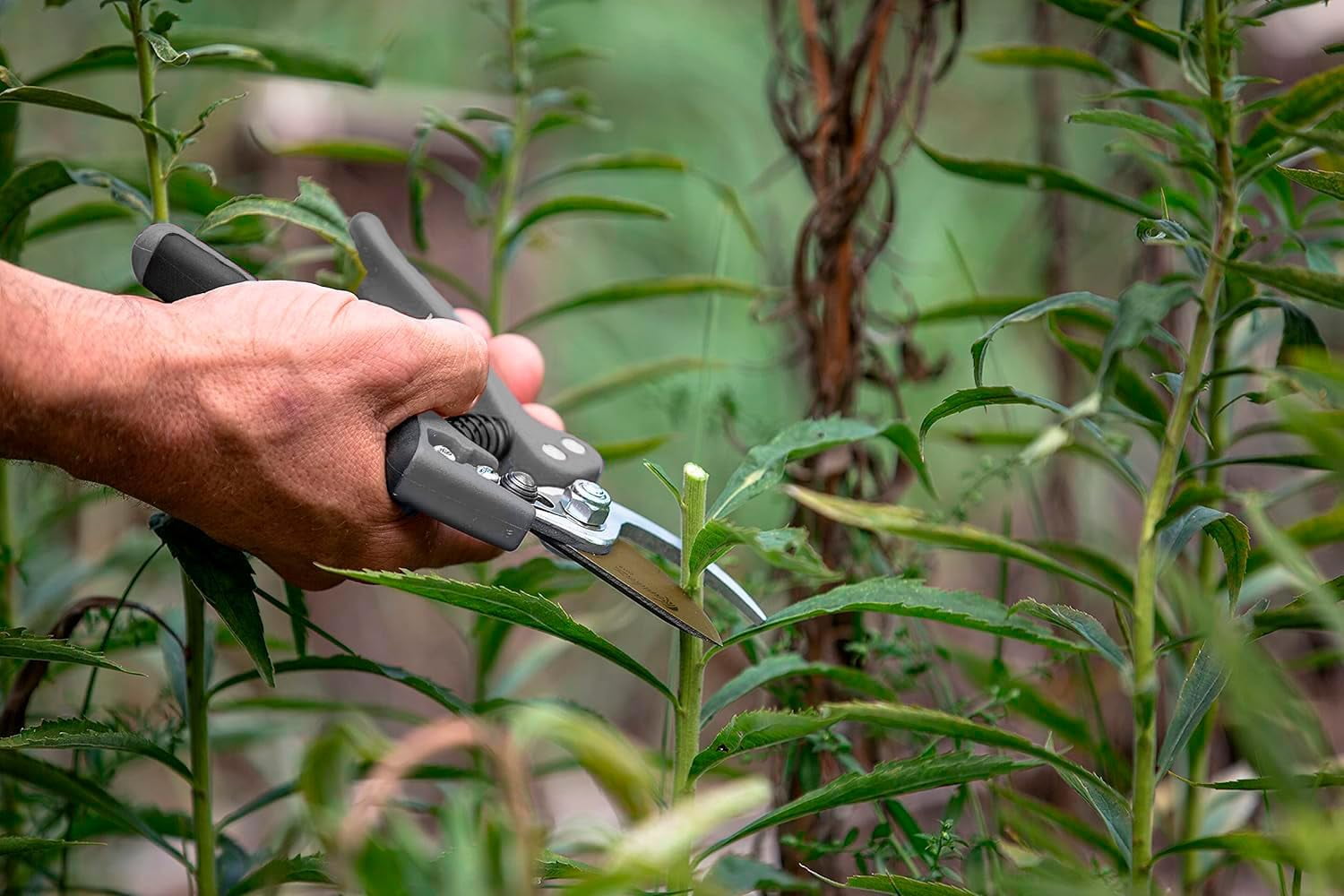 EZ Kut Kamikaze Force Bypass Pruning Shears Heavy Duty - Best Pruners for Gardening and Gardening Gifts for Women and Men - Gardening Hand Tools with a since 1988