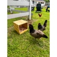 thumbnail image 2 of Zylina  Best Rest Single Nesting Box - N/A - 12x13x13, 2 of 7