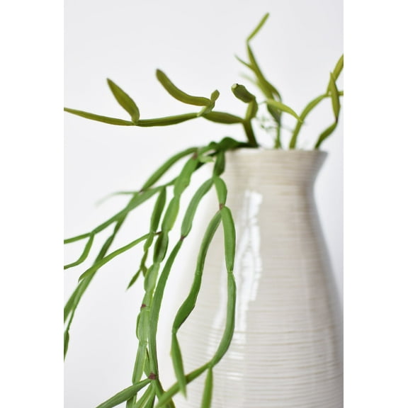 23" Faux Hanging Pencil Cactus Succulent Bush