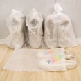 thumbnail image 4 of 10/1 piezas bolsas organizadoras de almacenamiento de zapatos bolsa de armario de viaje portátil no tejida bolsa de bolsillo impermeable bolsa colgante transparente para ropa, 4 of 5
