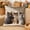 B, variant on Euaioeiu Cute Animal Pillow Cover Fluffy Embroidery Decorative Throw Pillow Case Soft Accent Cushion Cover for Living Room Sofa Bedroom Decor Festival Home Decor