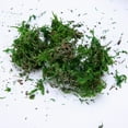 thumbnail image 5 of 1Pc Simulated Moss Artificial Moss Decorative Imitated Plant Ornament (Green), 5 of 5