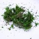 thumbnail image 4 of UPOUART 1Ud Artificial Moss Verde Para Decorar Macetas Con Textura Esponjosa Y Sin Mantenimiento, 4 of 8