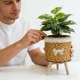 thumbnail image 4 of XQWJWLA Rattan Planter with Wooden Legs, Woven Pot with Stands, Rustic Flower Pot for Home Office Table Desk Patio Decor(#D), 4 of 4