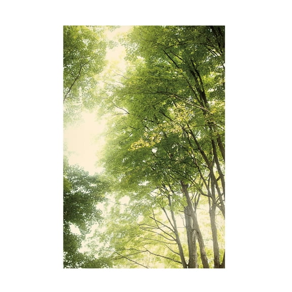 Elizabeth Urquhart 'Towering Maples III' Canvas Art