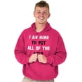 thumbnail image 5 of I Am Here to Pet All of the Cats Hoodie Sweatshirt Women Men Brisco Brands S, 5 of 6