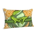 thumbnail image 2 of Cartoon Green Frog Pillowcase 16x24 Rectangle Throw Pillow Case Cover Cushion with Hidden Zipper for Sofa Couch Car, 2 of 2