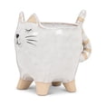 thumbnail image 1 of Abbott Collection AB-27-CRITTER-201 Jardinière pour Chat de 4 Po avec Queue, Blanc - Petit, 1 of 3