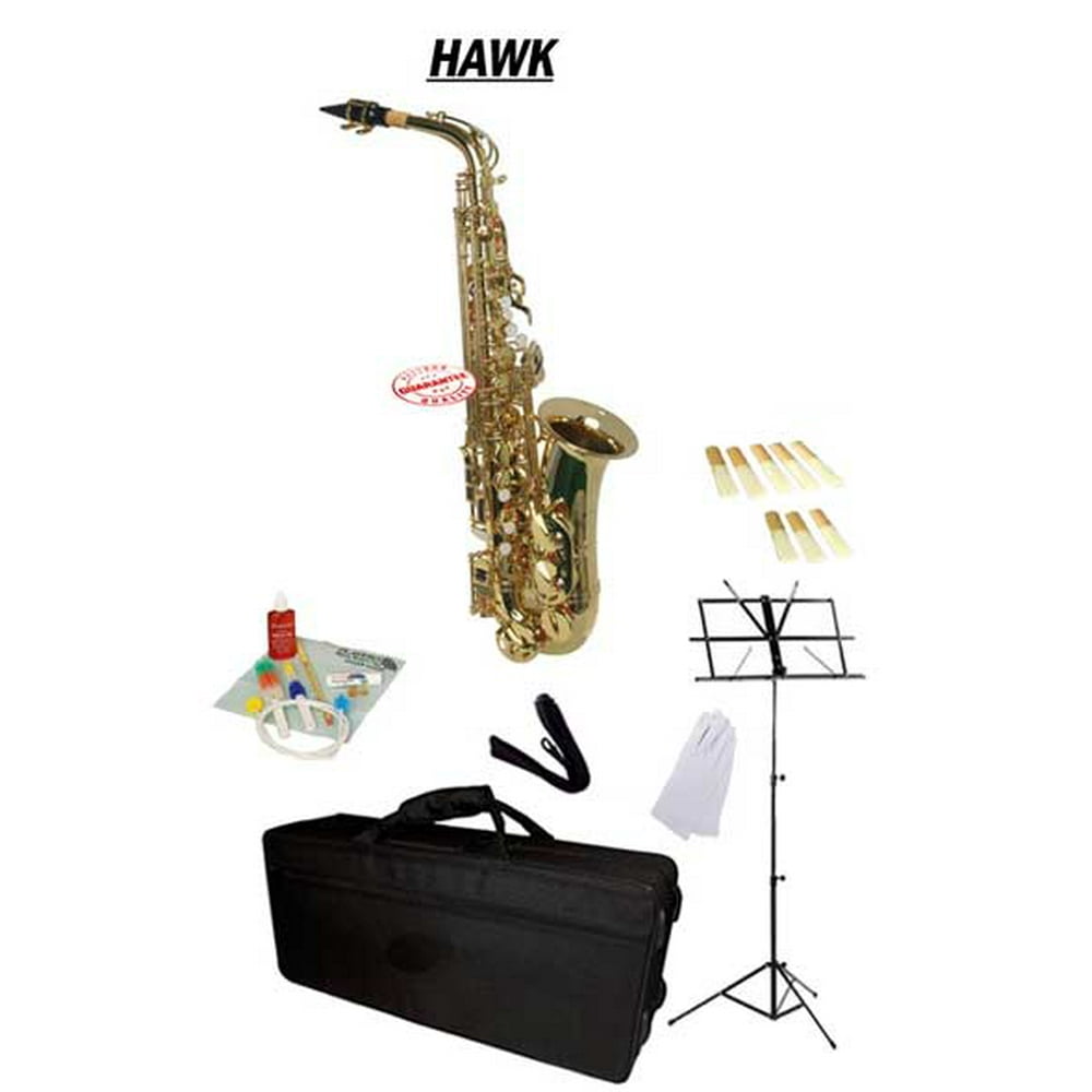 Hawk Gold Alto Saxophone School Package with Case, Reeds, Music Stand