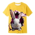 thumbnail image 3 of WOYY Boys Easter T-Shirt Bunny Print Short Sleeve Graphic Tee Cute Kids T Shirt, Sizes 1-13, 3 of 3