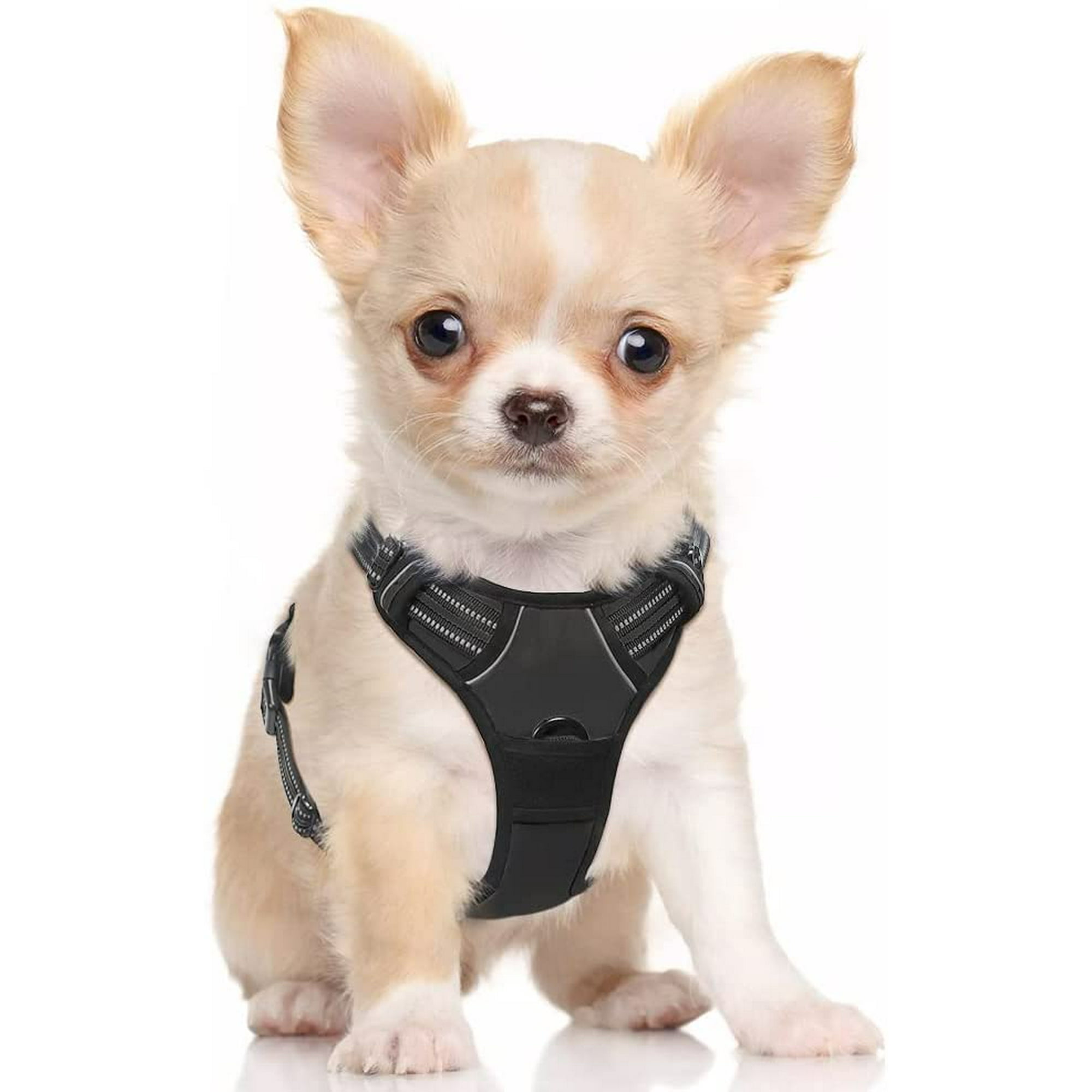 Jiuedso No Pull Pet Harness W 2 Leash Clips Adjustable Soft Padded Dog Vest Reflective No Choke Pet Oxford Vest W Easy Control Handle For Large Do