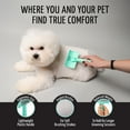 thumbnail image 2 of Tauro Pro Line Plastic Deshedding Slicker Brush for Dogs & Cats, Soft Pins for Gentle Detangling, Long & Wavy Coats, Non-Slip Grip, Small (S), Mint, 2 of 9
