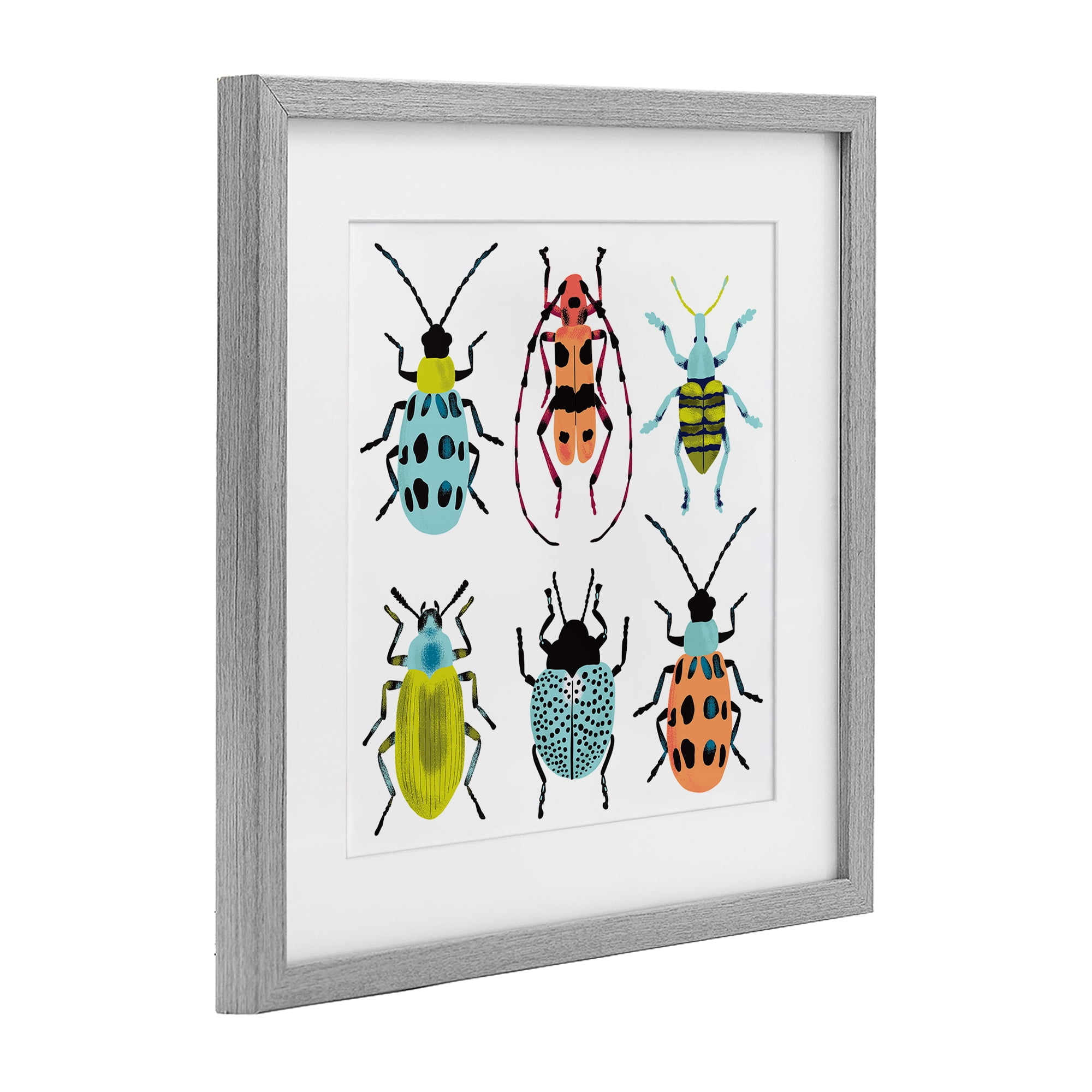 Stupell Industries Beetles & Bugs Collection Gray Framed Print Under Glass, design by Metka Hiti