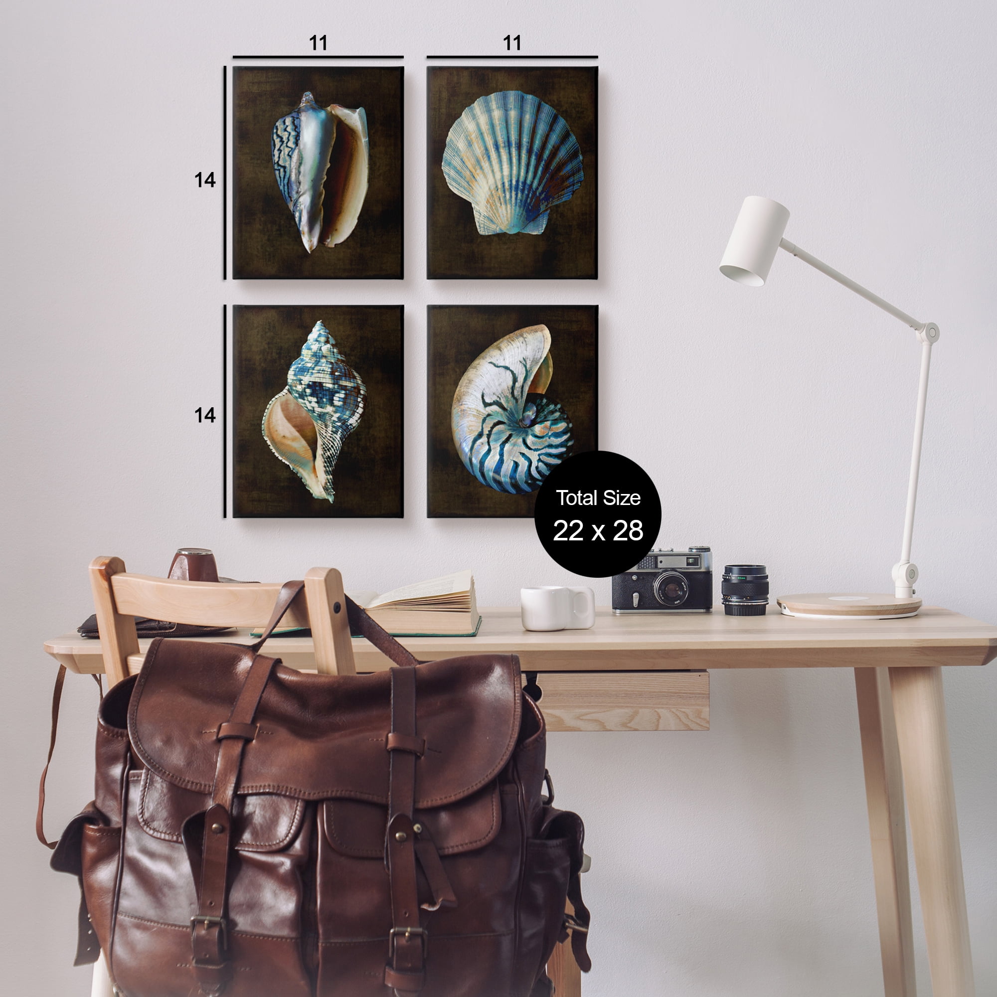 Stupell Industries Dark Maritime Seashells Animals & Insects Painting Gallery Wrapped Canvas Art Print Wall Art, 11 x 14, Set of 4
