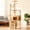 Natural+White1, variant on 41.3" Modern Cat Tower, Wood Cat Tree Tower for Indoor Cats, Cat Treewith Sisal-Covered Scratching Posts and Top Perch, Cat Condo with Acrylic Hammock for Small Large Cats 