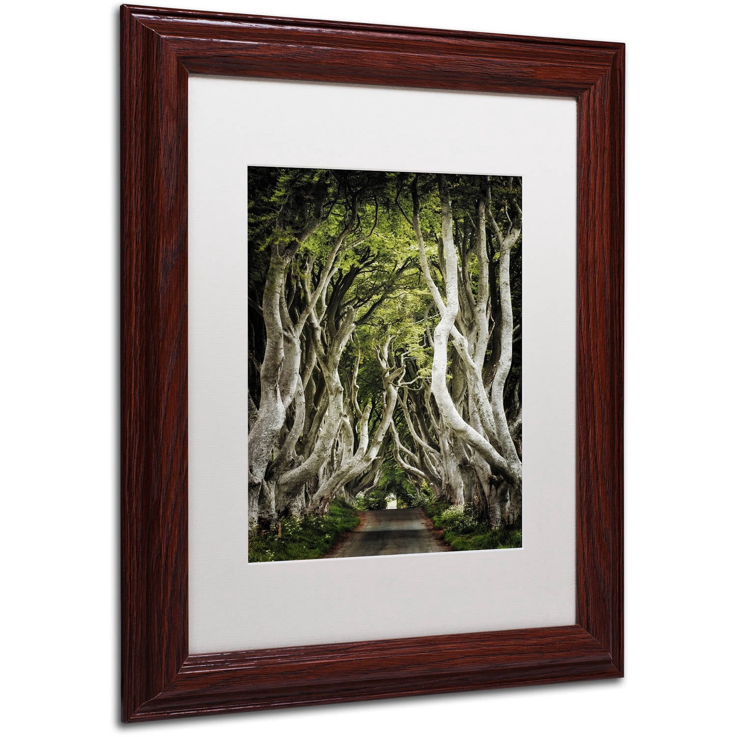 Trademark Fine Art "Romantic Avenue" Canvas Art by Philippe Sainte-Laudy, White Matte, Wood Frame