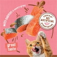 thumbnail image 4 of Purina Friskies Extra Gravy Chunky, Soft Salmon, Wet Cat Food, 5.5 oz Can, 4 of 10
