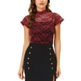 thumbnail image 1 of INSPIRE CHIC Blouse Semi-Transparente pour Femme de la Saint-Valentin à Dos Goutte d'Eau, Manches Courtes, Col Montant, S Bordeaux, 1 of 6