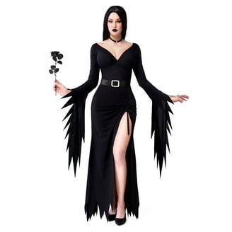 Women's Pirate Queen Halloween Costume Set, Fun World, Sizes S-3XL