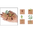 thumbnail image 1 of Simulación Animales Material didáctico Semillas de soja Ciclo de crecimiento vital Figuras de acción Modelos Juguetes Familia Educación tradicional Juego Prop para niños, Planta ER, 1 of 5