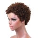 thumbnail image 1 of Peluca afro , 8 pulgadas, peluca corta rizada cabello , peluca afroamericana rizada suave y apretada con peluca , Macarena Pelucas de cabello humano para mujeres, 1 of 8
