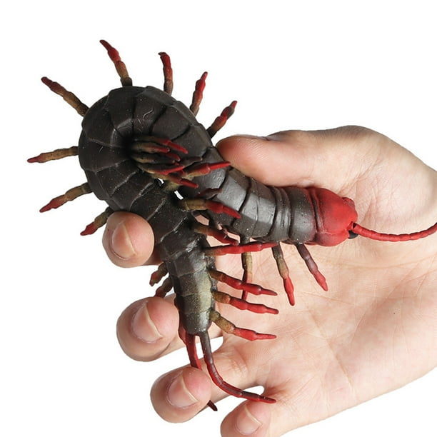 TOYANDONA 4 piezas de cuerda elástica sensorial de ciempiés falso, juguete de ciempiés artificial, juguetes de broma, broma, truco de insectos para fiestas TOYANDONA 4 piezas de cuerda elástica sensorial de ciempiés falso, juguete de ciempiés artificial, juguetes de broma, broma, truco de insectos para fiestas