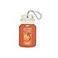 thumbnail image 3 of Yankee Candle Car Jar - Spiced Pumpkin, 3 of 3