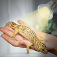 thumbnail image 6 of 3Pc Reptile Light Bulb UV Heat Lamps Uvb+Uva Tortoise Supplement Turtle A3P2, 6 of 8